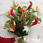Tropical Spirit