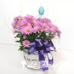 Chrysanthemums
