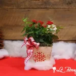Merry & Bright