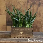 Custom Sansevieria Punk Planter