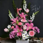Welcome Blooms