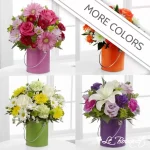 Color Your Day Collection