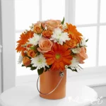 Color Your Day Collection