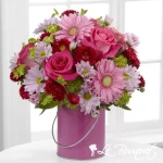 Color Your Day Collection