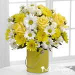 Color Your Day Collection
