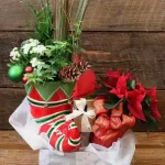 Elf Garden