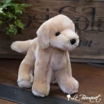Cornell Labrador