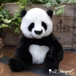 Paya Panda