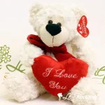 Grand Ourson Baxter de la St-Valentin