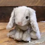 Licorice the Bunny