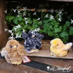 Chicklets