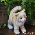 Douglas Cats
