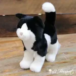 Douglas Cats