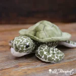 Pebbles the Turtle