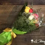 Roses Long Stem Assorted Colour
