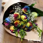 Rainbow Roses