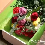 Roses Long Stem Assorted Colour