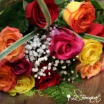 Medium Stem Assorted Colour Roses
