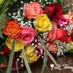 Medium Stem Assorted Colour Roses