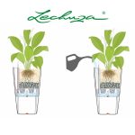 Lechuza Self-Watering Planters