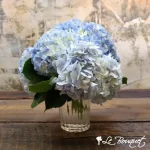 Heavenly Hydrangeas!