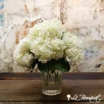 Heavenly Hydrangeas!