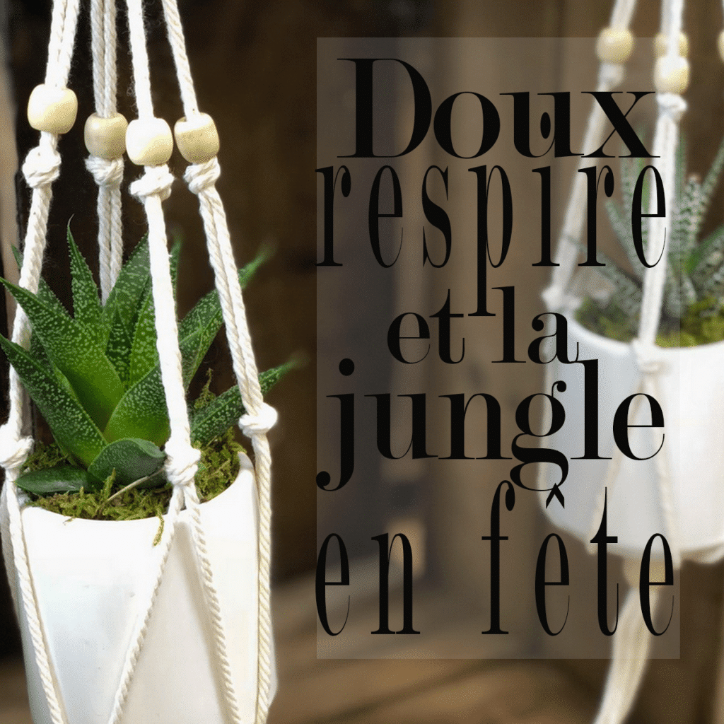 Respirez et transformez votre espace en jungle !