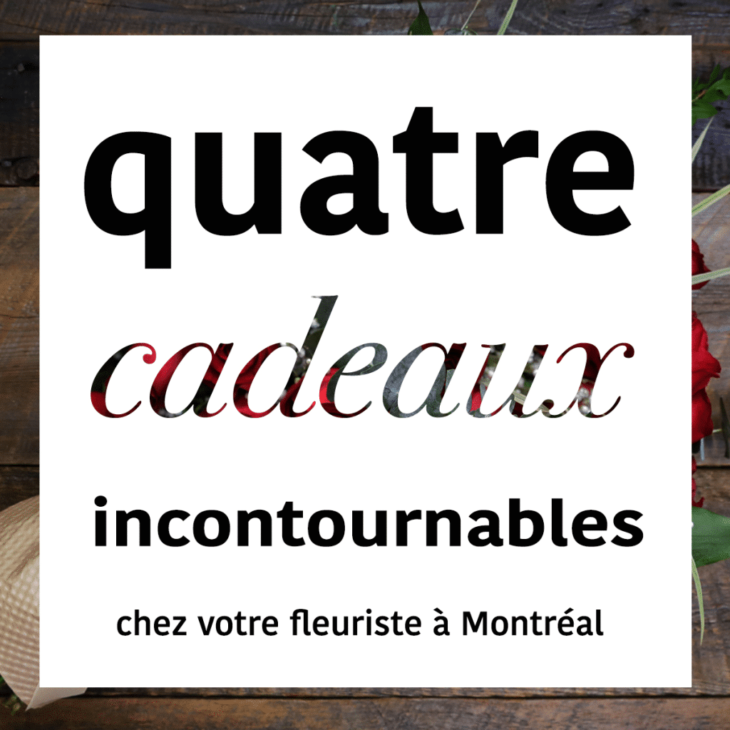 Quatre cadeaux incontournables de votre fleuriste de Montréal