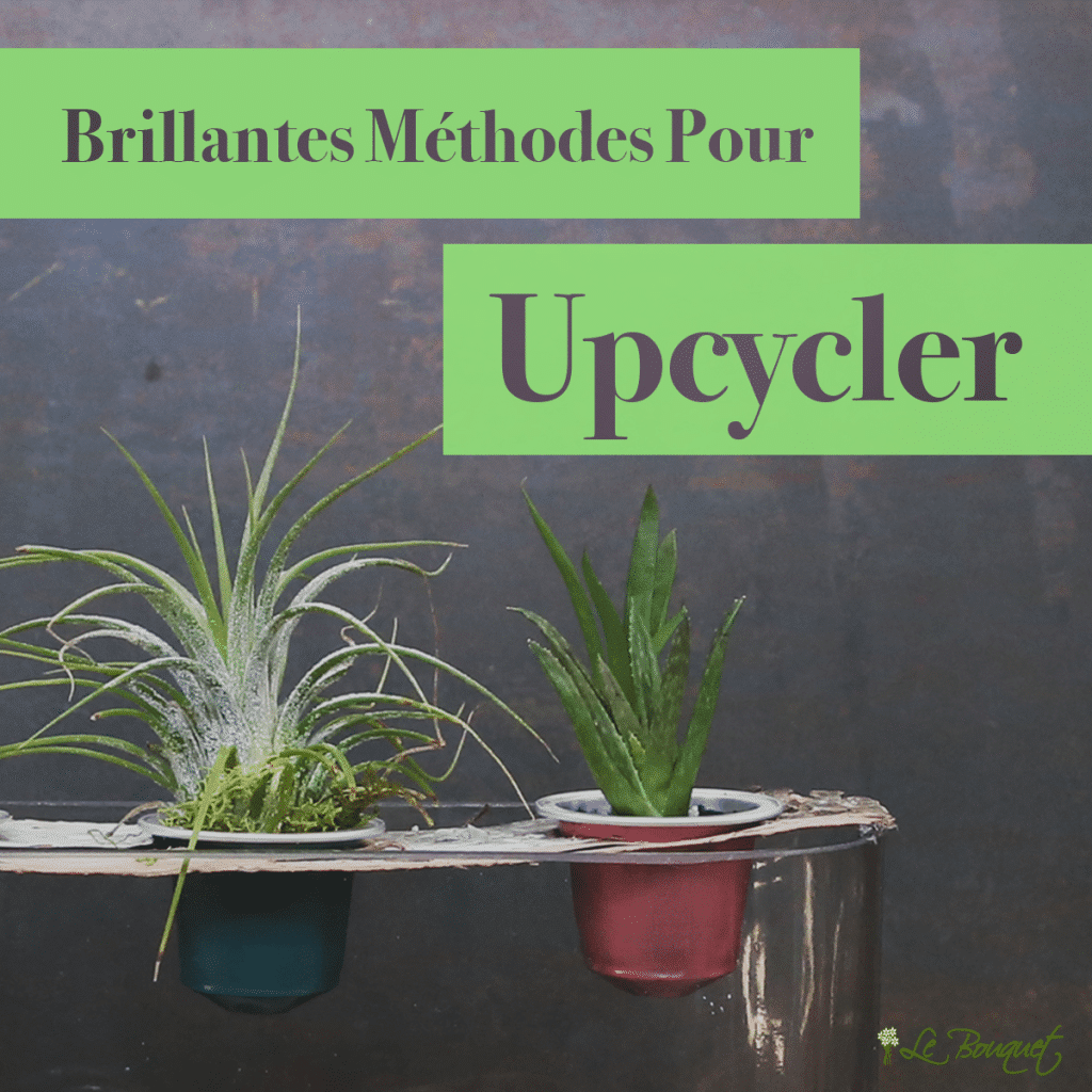 Des moyens astucieux pour recycler