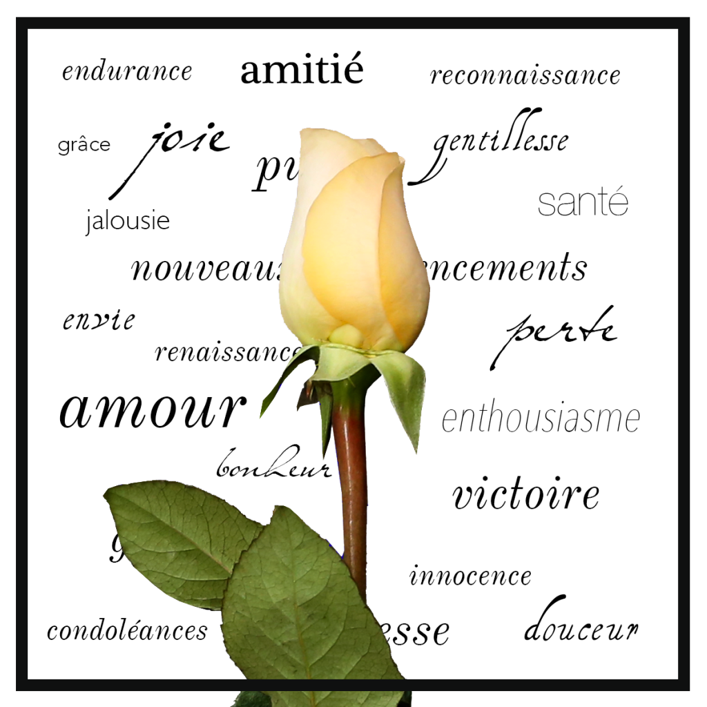 Fleurs ou mots – Comment choisir un bouquet qui a du sens