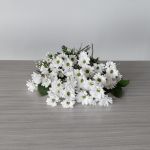 Daisy Delight