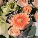 Roses Etcetera Collection