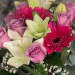 Roses Etcetera Collection