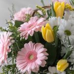 Spring Whisper