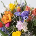 Burst of Spring