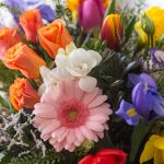 Burst of Spring