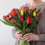 Truly Tulips!