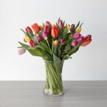 Truly Tulips!