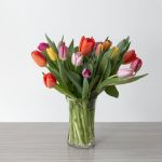 Truly Tulips!
