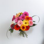 Gorgeous Gerberas!