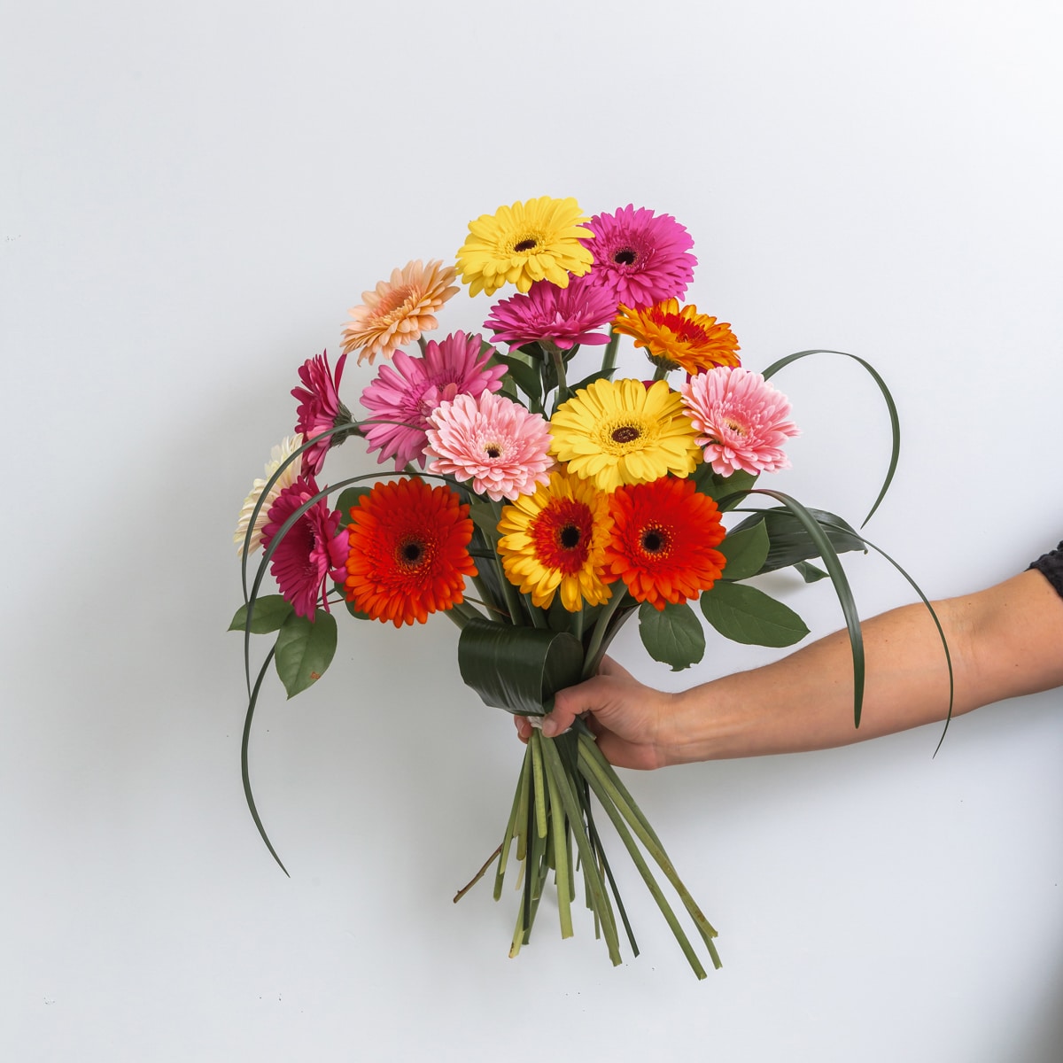 Assorted Gerbera