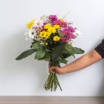 Daisy Delight