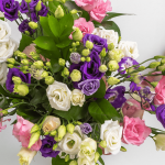Lovely Lisianthus