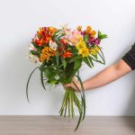 Awesome Alstroemerias!