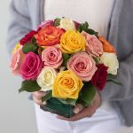 Lush Life Rose
