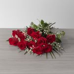 Explorer Roses