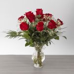 Explorer Roses
