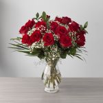 Explorer Roses