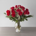 Explorer Roses