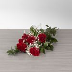 Explorer Roses
